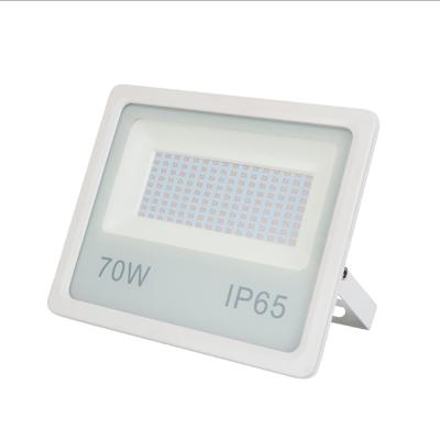Model TF LED Flood Light 