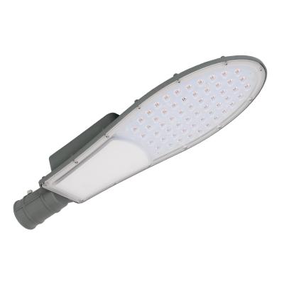 Model OV Mini LED Street Light